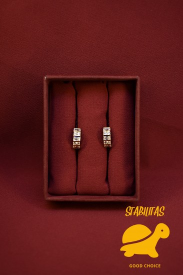 Earrings 1110025
