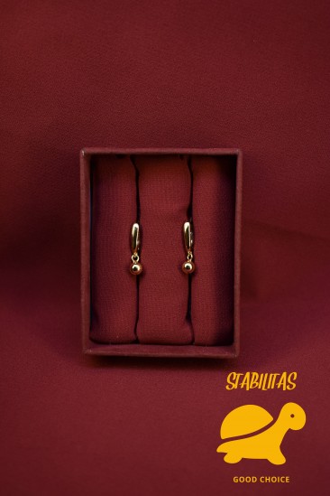 Earrings 1110035