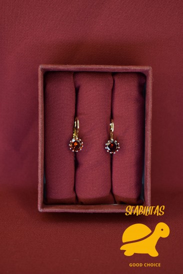 Earrings 1110037