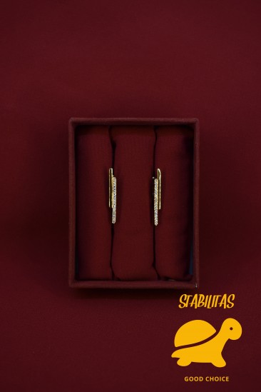 Earrings 1110063
